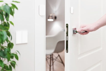 Cảm biến Cửa và Cửa sổ Aqara